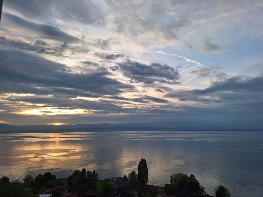 Appartement Avec Vue 180 Sur Le Lac Leman Thonon-les-Bains Extérieur photo