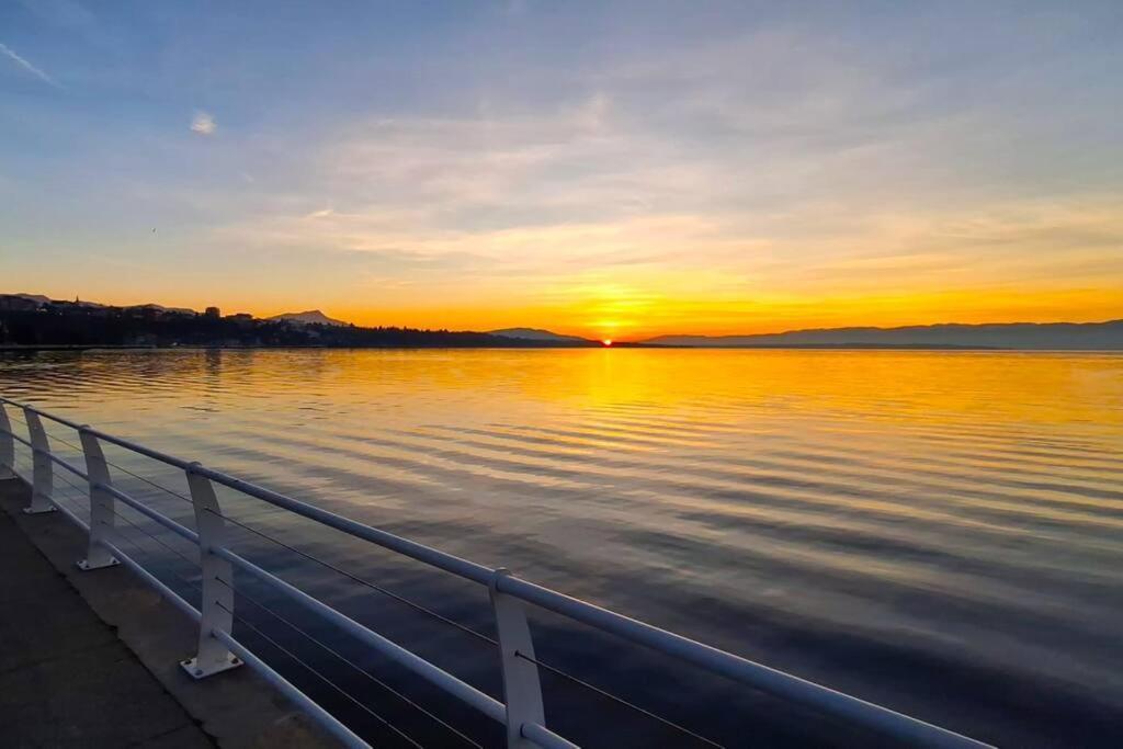 Appartement Avec Vue 180 Sur Le Lac Leman Thonon-les-Bains Extérieur photo